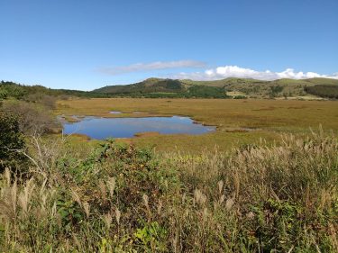 9月の車山と八島ヶ原湿原、長門牧場、御射鹿池、八ヶ岳アルパカ牧場の旅について